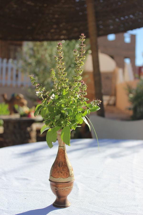 Riad Hiba Foum Zguid Dış mekan fotoğraf
